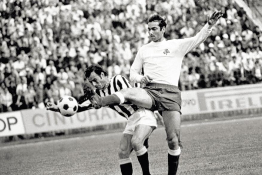 Φωτογραφικό υλικό