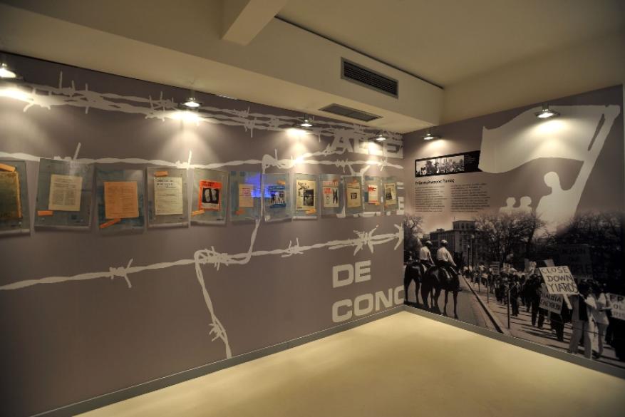 Φωτογραφικό υλικό